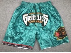 Vancouver Grizzlies Blue Tiger Year Shorts