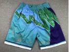 Charlotte Hornets Teal Swingman Shorts