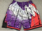 Toronto Raptors Purple Swingman Shorts