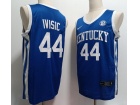 Kentucky Wildcats #44 Zvonimir Ivisic Blue Jersey