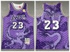 Los Angeles Lakers #23 Lebron James Purple Dragon Year Mitchell Ness Jersey