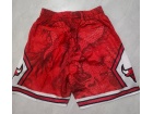 Chicago Bulls Red Dragon Year Mitchell Ness Shorts