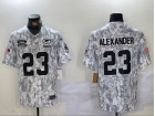 Green Bay Packers #23 Jaire Alexander Arctic Camo 2024 Salute to Service Limited Jersey